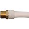 Apollo Apollo PEX-A 3/4 in. Expansion PEX in to X 3/4 in. D MNPT Brass Adapter EPXMA3434 - alternate 3